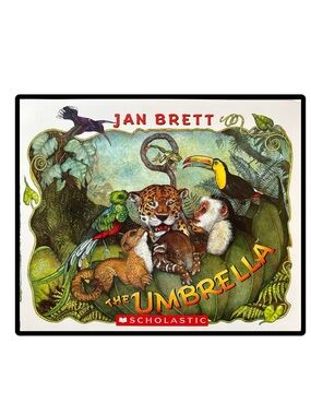 BUNDLE & SAVE ☂️The Umbrella Softcover Book by Jan Brett